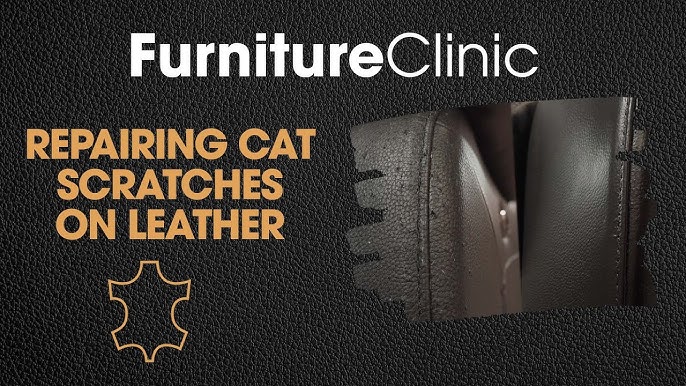 How To Repair Cat Scratches on Real Leather Furniture or