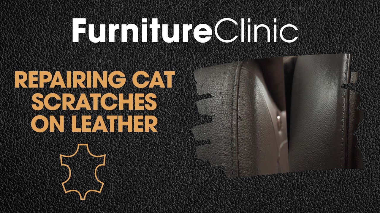 How to Fix Cat Scratches on Leather with olive oil.  Cleaning leather car  seats, Leather diy, House cleaning tips