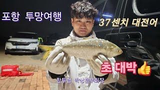 포항 37센티 대 전어 세상에 이런일이?!