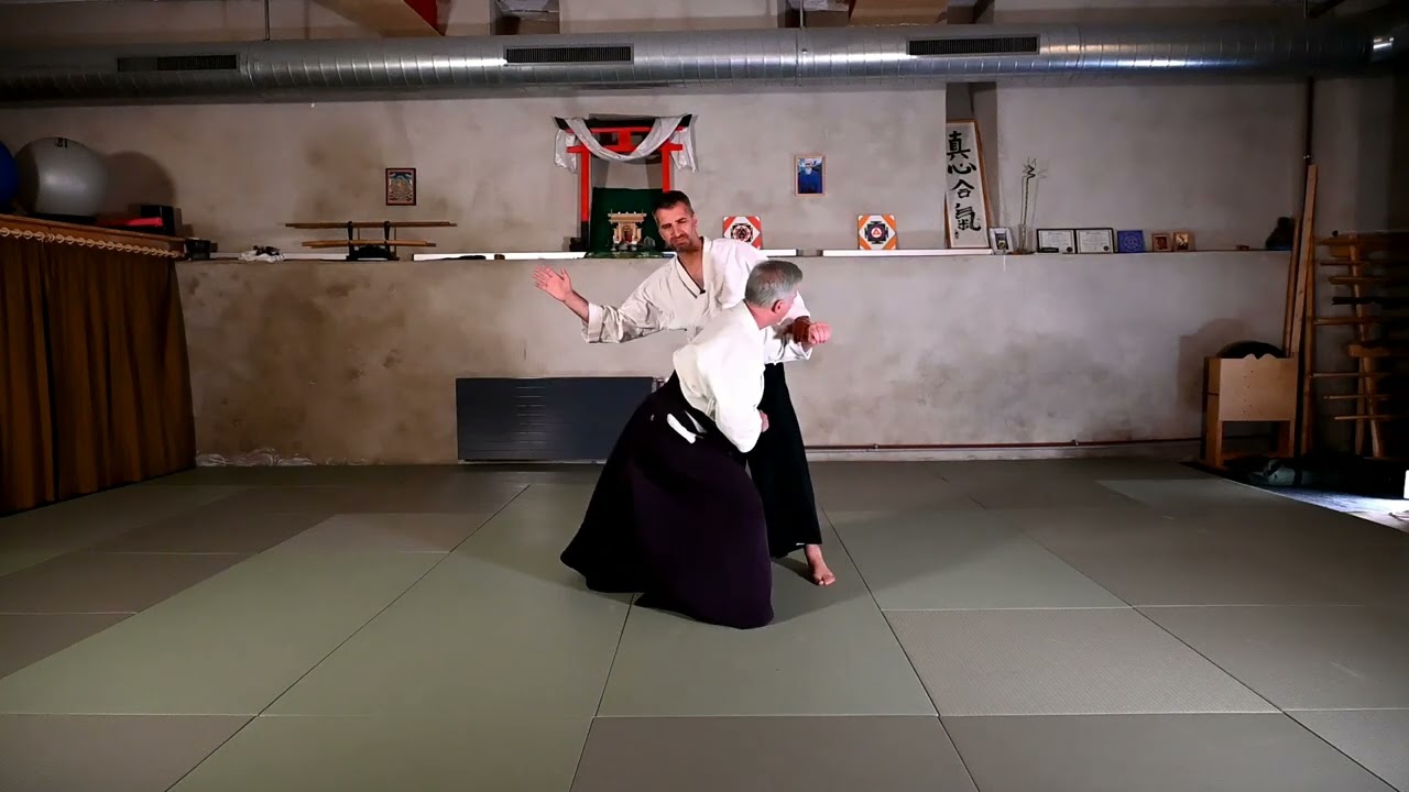 Aikido principles: Irimi - Aikido Virtual Dojo