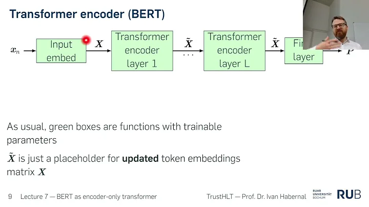 BERT as encoder transformer (part 1): Lecture 07 of NLPwDL 25/26