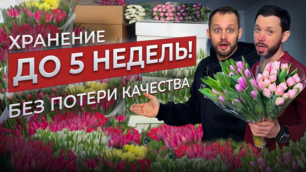 🌷 Как хранить тюльпаны до 5 НЕДЕЛЬ без потери качества! СЕКРЕТЫ хранения тюльпанов из нашего опыта!