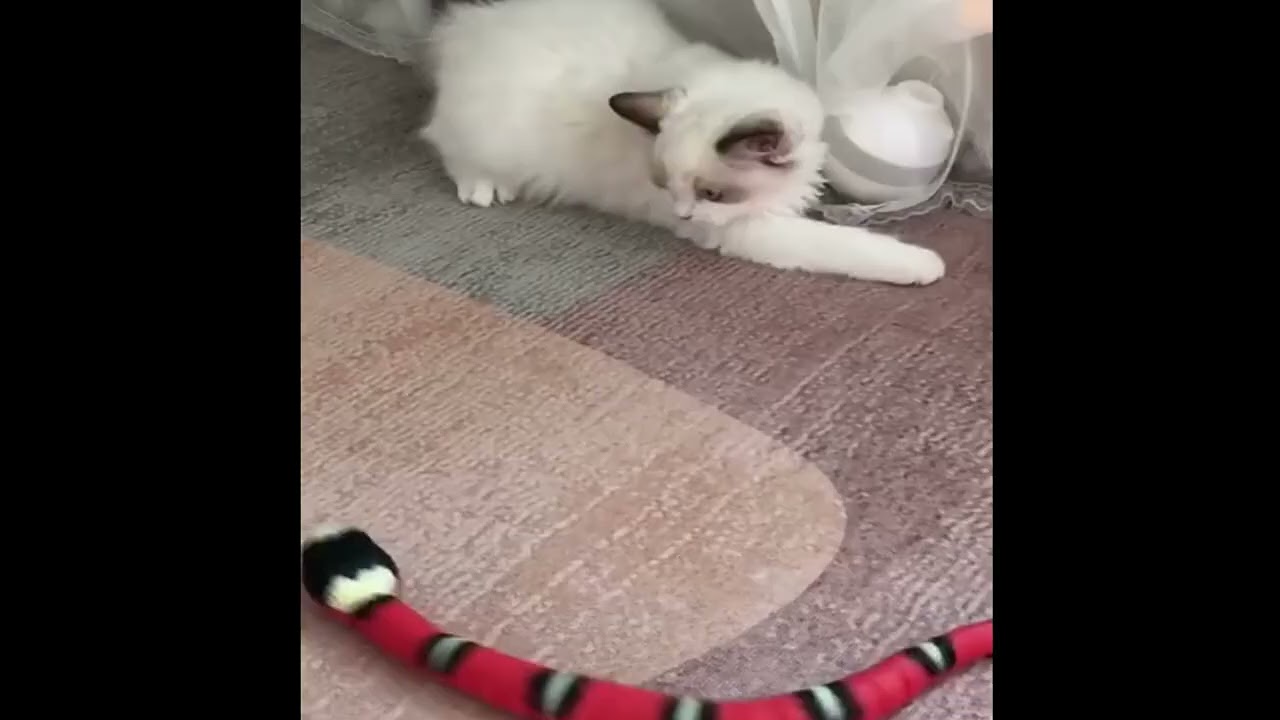 Automatic Cat Toys Eletronic Snake Toys Smart Sensing Toys For Cats Dogs
