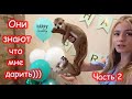 VLOG Подарки от друзей и родных. День Рождения. Мне 37