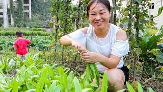 婆婆忙著種菜，媳婦也沒閑著，帶孩子煮飯也够忙的