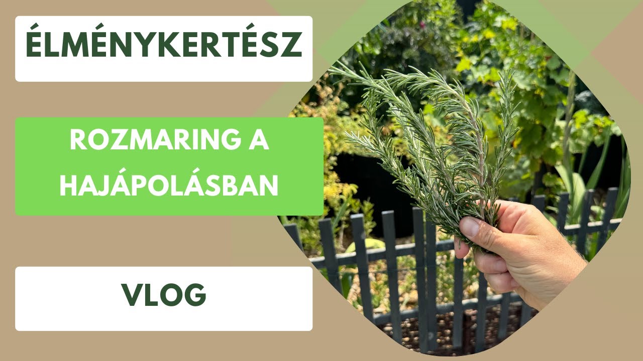 Rozmaringvíz a fejbőr és a haj egészsége érdekében🌿