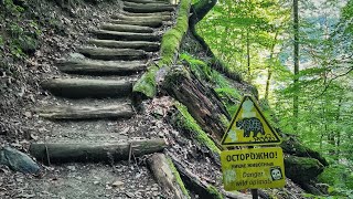 Path in the mountains. I go down from the waterfall through the forest. Virtual walk by MORPHEUS TV Natures Sounds and Relaxing Music 56 views 2 years ago 5 minutes, 49 seconds