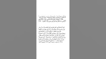 ته فسير سوره ت البقره ئايه ت ٣٦ tafsir sorat Al baqara ayat 36 #قورئان_quran #سورة_البقرة