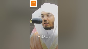وأَوحَىٰ رَبُّكَ إِلَى النَّحلِ | تلاوة هادئه خاشعة من سورة النحل | لـ فضيلة الشيخ أ.د #ياسر_الدوسري