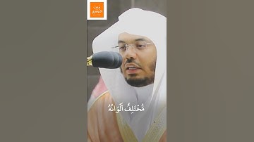 وأَوحَىٰ رَبُّكَ إِلَى النَّحلِ | تلاوة هادئه خاشعة من سورة النحل | لـ فضيلة الشيخ أ.د #ياسر_الدوسري