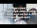 Edward Sanda - Nimeni ca noi (Versuri/Lyrics)