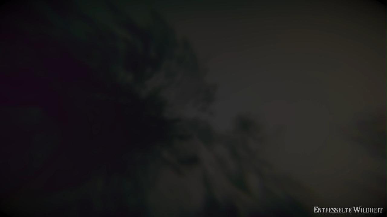 Red Dead Redemption 2 Entfesselte Wildheit