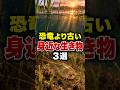 実は恐竜より古い身近な生き物3選 #生き物 #進化のサムネイル