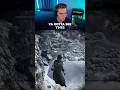 Battlefield 5 Up Close Sniping In The Snow!!