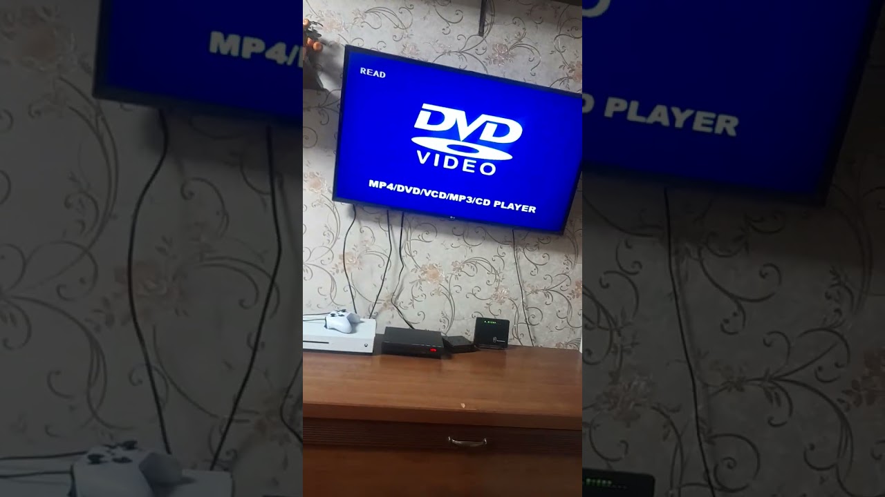 обзор на dvd диск барбоскины полная версия барбоскины 15 сезонов 235 серий барбоскины на даче