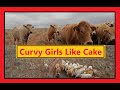 Curvy Girls Like Cake!