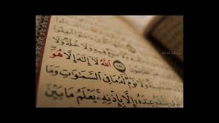 سورة الحشر عبدالمحسن القاسم