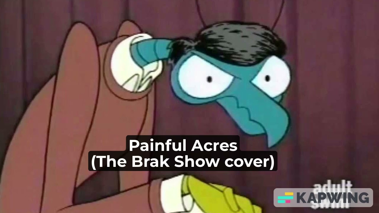 Painful Acres (The Brak Show cover)