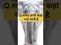 😱 सफेद हाथी किस देश में पाए जाते हैं? | Amazing GK Fact #shorts#gk in hindi #gk questions answers