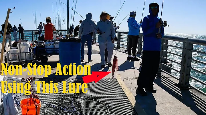 The Craziest Pier Fishing in Florida!! (Sebastian Inlet)