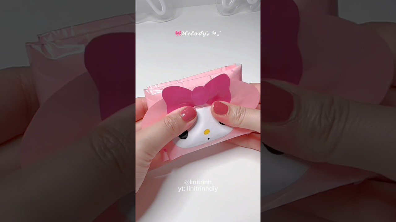 Paper My Melody Wallet Squishy 