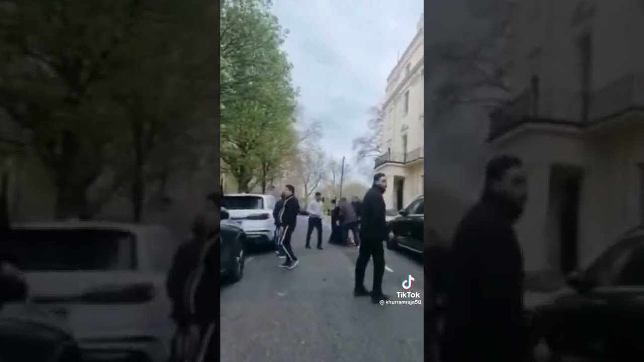 Fight between pti and pmln in London ⚔️⚔️