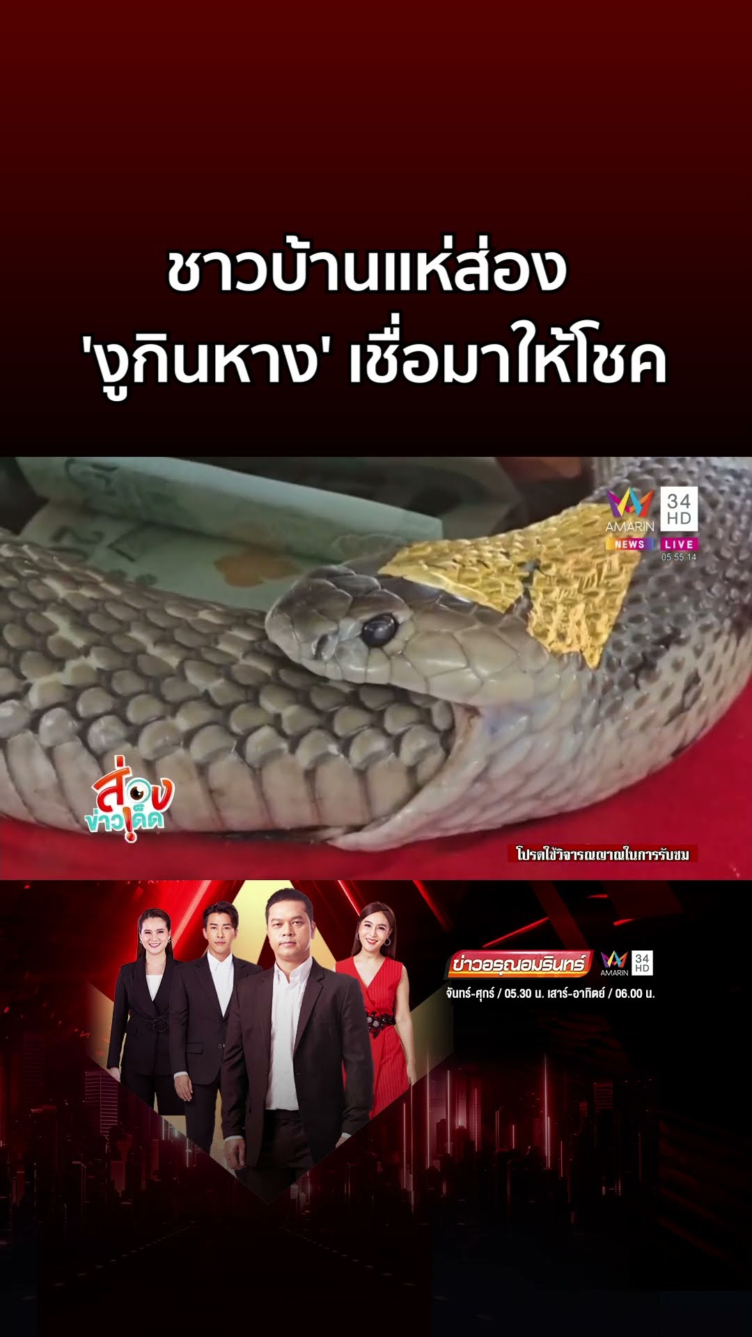 ฮือฮา! ชาวบ้านแห่ส่อง 'งูกินหาง' สภาพไม่เน่าเปื่อย เชื่อมาให้โชค | ข่าวอรุณอมรินทร์