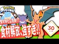 比較で分かるリザードンLv.30！食材特化は取り扱い注意😂【ポケモンスリープ】