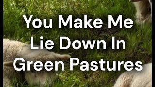 You Make Me Lie Down In Green Pastures | Don Moen (lyric video)