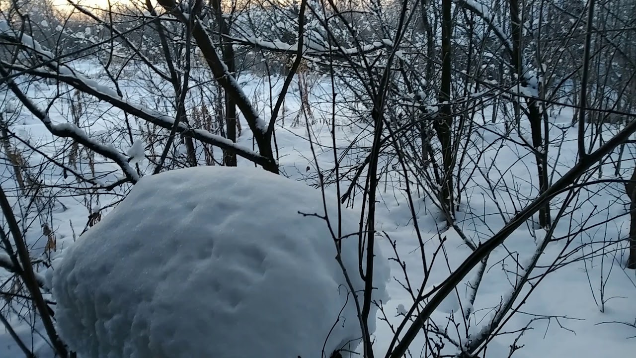 Мороз и солнце день чудесный... YouTube