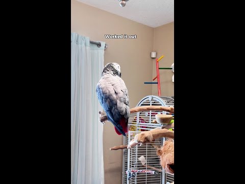 You both serve me. Let's not get it twisted π¦