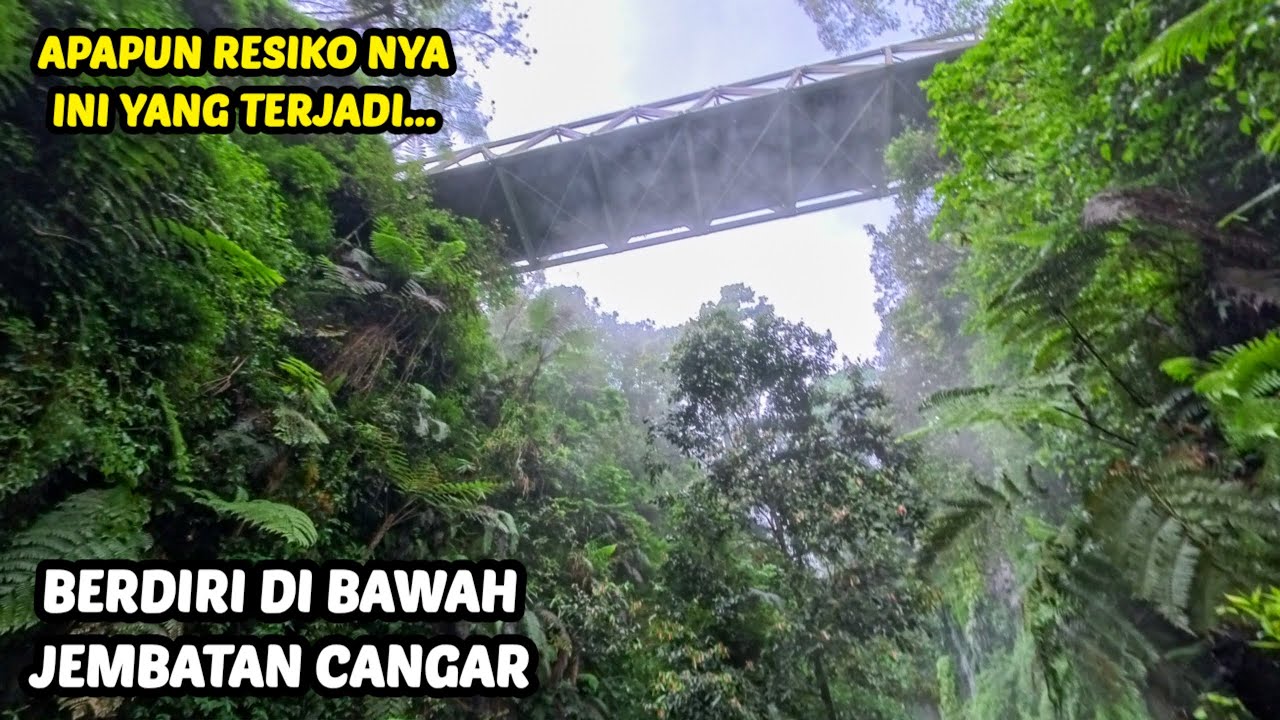 HAMPIR PINGSAN BERDIRI DI BAWAH JEMBATAN CANGAR HINGGA DI SELIMUTI KABUT TEBAL