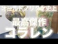 オールドノリタケの最高傑作「コラレン」の素晴らしき魅力と美しさ