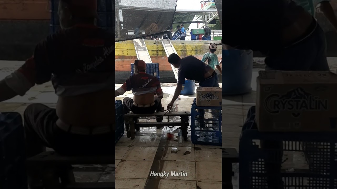 Fresh Catch Loaded for Jakarta: Quality Frozen Fish for Export | Karangsong Fishermen 