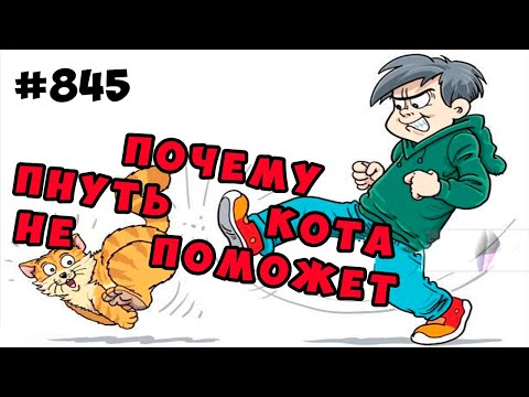 Перенаправление агрессии работает у животных и не работает у человека. Почему?