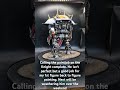 Chaos Knight Abominant