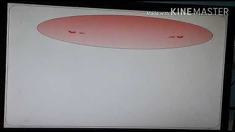 MLZS JHANSI CLASS 2 Computer Input and Output Devices