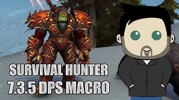 Survival Hunter Rotation and GSE Macros for 7.3.5