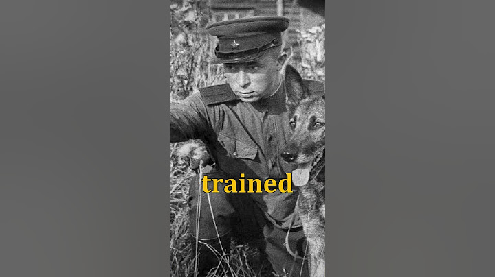 Trained Soviet Dog with Explosives. #shorts