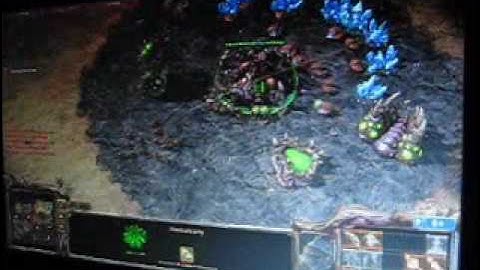 StarCraft II (Beta) on ASUS N61JQ-A1