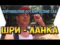 БОТАНИЧЕСКИЙ САД В ШРИ-ЛАНКЕ. КАНДИ.