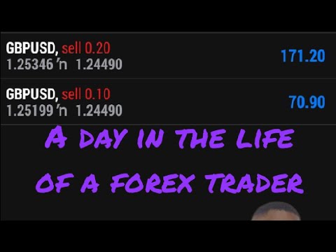 Day in the life of a Forex Trader