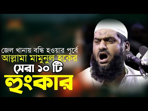 আল্লামা মামুনুল হকের সেরা ১০ টি হুংকার .Allama Mamunul Haque Top 10 Waz ..বাঘের হুংকার না দেখলে মিস.