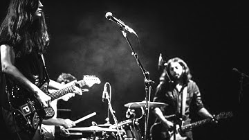 Thought Forms - Your Bones