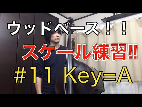 【ウッドベース】Lesson No.11 初心者用基礎練習 『Aメジャースケール＆Aブルース』