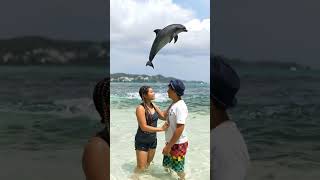 with a dolphin #highlights