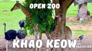 Exploring Wildlife at Khao Kheow Open Zoo, Thailand. 4K