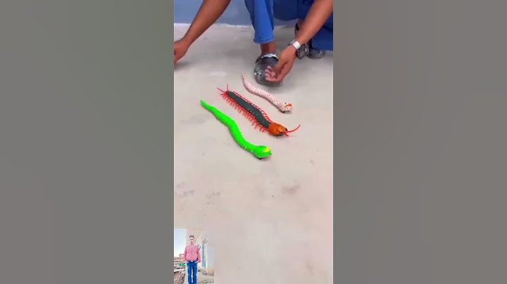 Remote Control Kankhajura and RC Snake #rcsnake