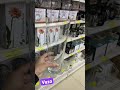 #vazo