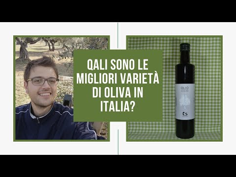 Quali sono le migliori varietà di oliva in Italia?